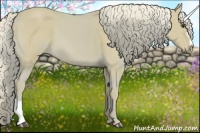 Horse Color:Watercolor Palomino Sabino 