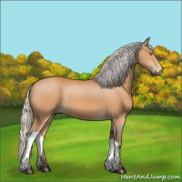 Horse Color:Silver Bay 