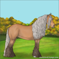 Horse Color:Silver Bay 