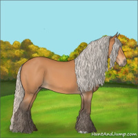 Horse Color:Silver Bay 