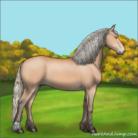 Horse Color:Silver Bay 