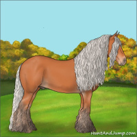 Horse Color:Silver Bay 