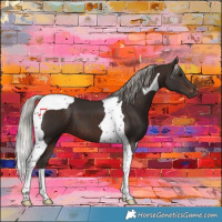 Horse Color:Silver Brown Tobiano 