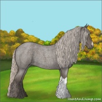 Horse Color:Silver Blue Roan 