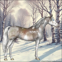 Horse Color:White Spotted Liver Chestnut Mushroom Splash Tobiano Rabicano 