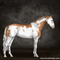 Horse Color:Silver Buckskin Sabino Splash Frame Rabicano 