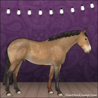 Horse Color:Buckskin Dun 