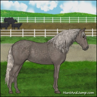 Horse Color:Silver Black 
