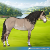 Horse Color:Liver Red Dun Sabino 