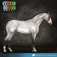 Horse Color:Brown Roan Frame