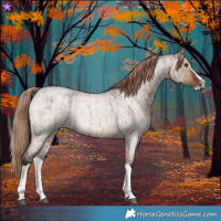 Horse Color:Liver Red Dun Roan Splash Rabicano Brindle