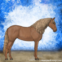 Horse Color:Red Roan Rabicano 