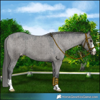 Horse Color:Grullo Varnish Brindle 