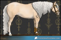 Horse Color:Silver Buckskin Pearl 