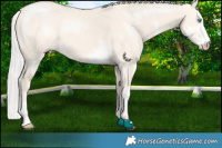 Horse Color:Silver Perlino Dun Sabino