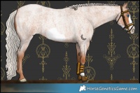 Horse Color:Silver Brown Roan Pearl Frame