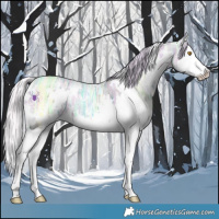 Horse Color:Watercolor White Spotted Silver Classic Champagne Ice Dun Splash