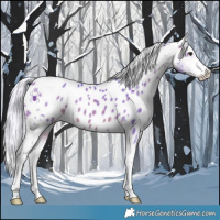 Horse Color:Watercolor Silver Brown Dun Sabino Appaloosa 