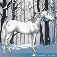 Horse Color:Watercolor White Spotted Silver Black Ice Splash Tobiano Leopard 