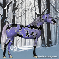 Horse Color:Watercolor White Spotted Silver Black Sabino 