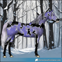 Horse Color:Watercolor White Spotted Silver Black Sabino