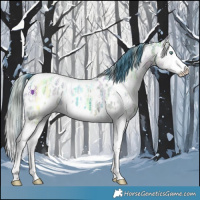 Horse Color:Watercolor White Spotted Sable Cream Champagne Ice Splash Leopard 