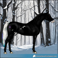Horse Color:Watercolor White Spotted Silver Sable Champagne Onyx Near Leopard 