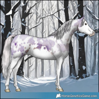 Horse Color:Watercolor White Spotted Silver Black Splash