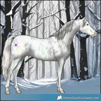 Horse Color:Watercolor Silver Sable Champagne Ice Dun Near Leopard 