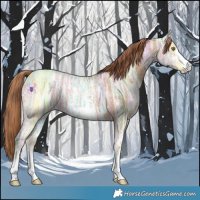 Horse Color:Gold Champagne Ice Sabino Rabicano 