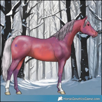 Horse Color:Watercolor Silver Bay
