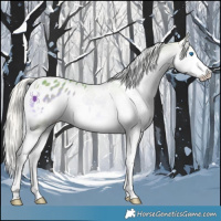 Horse Color:Watercolor White Spotted Silver Buckskin Onyx Splash Blanket 