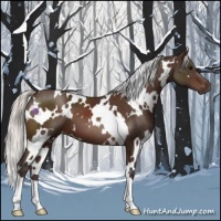 Horse Color:White Spotted Silver Brown