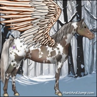 Horse Color:White Spotted Silver Black Appaloosa 