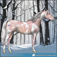 Horse Color:Watercolor White Spotted Silver Buckskin 