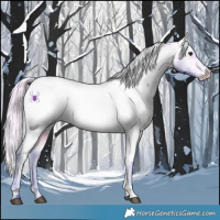 Horse Color:Watercolor White Spotted Silver Buckskin Snowcap 