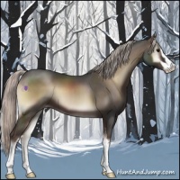 Horse Color:Silver Blue Onyx Sabino