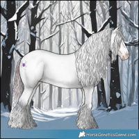 Horse Color:Watercolor Buckskin Varnish 