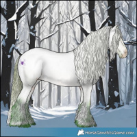 Horse Color:Watercolor Brown Roan Dun Appaloosa Rabicano 