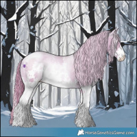 Horse Color:Watercolor Smoky Black Pearl Sabino Appaloosa 