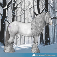 Horse Color:Smoky Black Ice Appaloosa Rabicano 