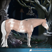 Horse Color:Platinum White Spotted Silver Bay Splash 