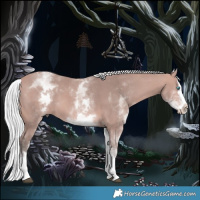Horse Color:Platinum White Spotted Silver Bay Splash 