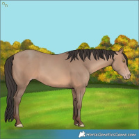 Horse Color:Sable Champagne 