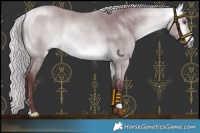 Horse Color:Chocolate Silver Buckskin Chinchilla 