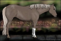 Horse Color:Silver Black 