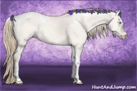 Horse Color:Perlino Dun Tobiano 