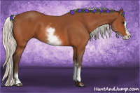 Horse Color:White Spotted Silver Bay Splash 