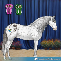 Horse Color:Liver Chestnut Snowflake Varnish 