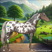 Horse Color:White Spotted Silver Black Appaloosa 